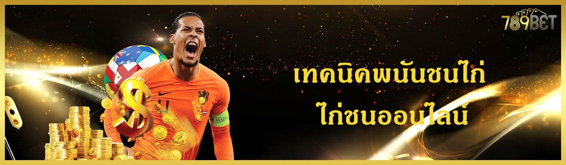 เทคนิคพนันชนไก่ ไก่ชนออนไลน์